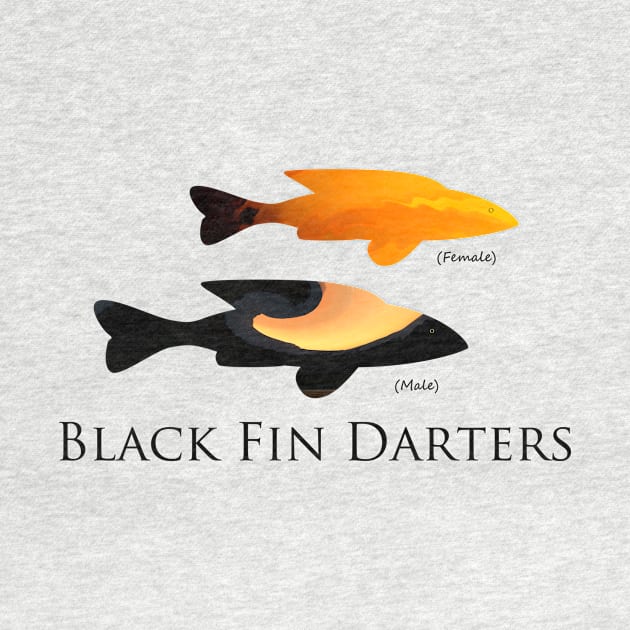 Black Fin Darters by Whisperingpeaks